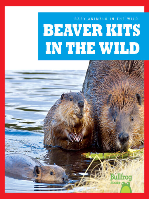 Title details for Beaver Kits in the Wild by Katie Chanez - Available